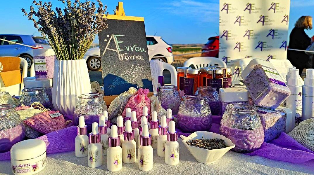 Φεστιβάλ Λεβάντας, Έβρος