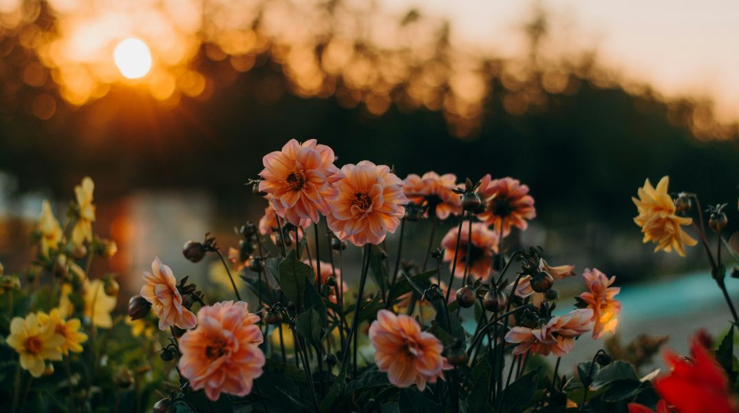 Εορτολόγιο: Σήμερα 26 Ιουνίου 2025 γιορτάζει…