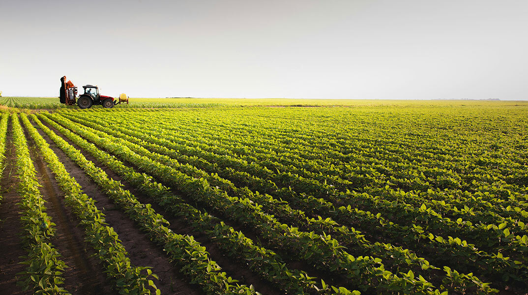 ΟΠΕΚΕΠΕ: Αφού τα ίδια έκαναν και οι προηγούμενοι, δεν πειράζει