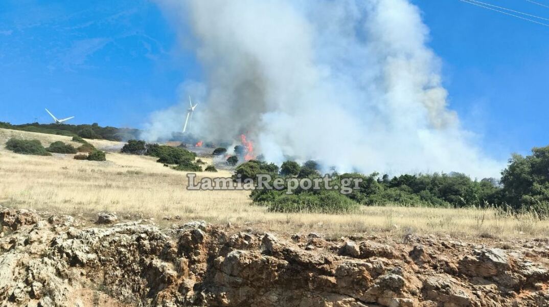 Φωτιά τώρα στη Φωκίδα