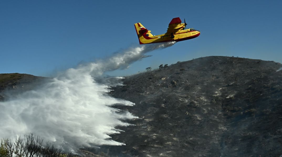 Φωτιά τώρα στη Βοιωτία: Μεγάλη επιχείρηση κατάσβεσης και από αέρος
