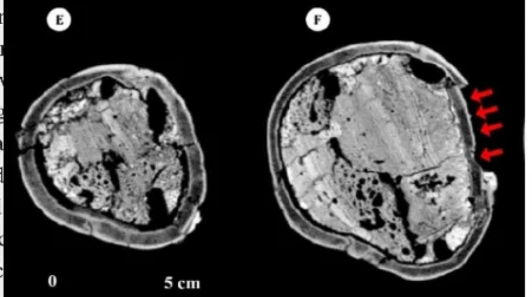 Μυστηριώδες κρανίο 6.000 ετών εντόπισαν αρχαιολόγοι στο Ιράν: Είναι παραμορφωμένο και βίαια χτυπημένο