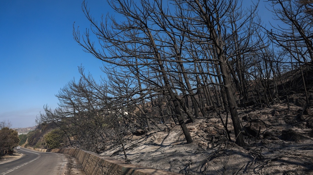 Καμένα από τη φωτιά στην Ιεράπετρα