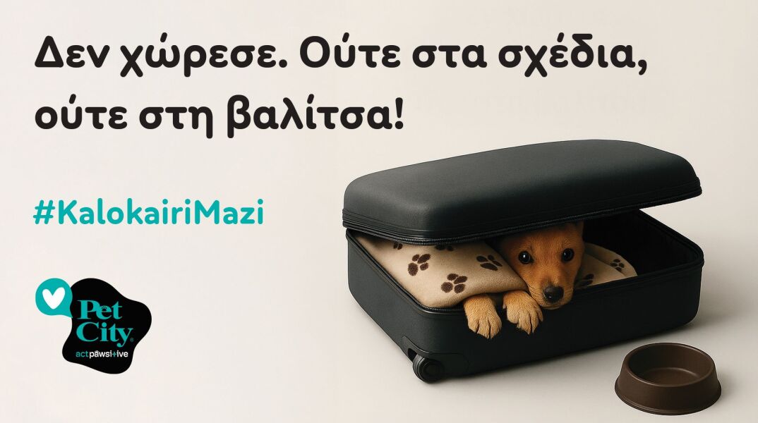 2025_07_07_pet_city_kalokairi_mazi_photo