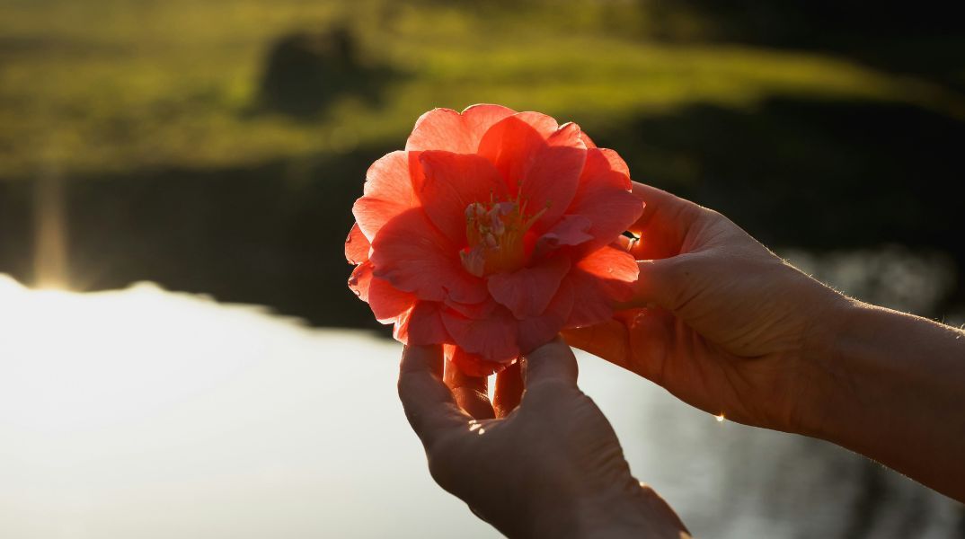 Εορτολόγιο: Ποιοι γιορτάζουν σήμερα 12 Ιουλίου 2025; Η Athens Voice σου τους θυμίζει!
