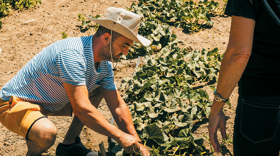 Platia Restaurant Galini Naxos