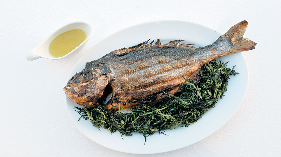 Αυλή - Δονούσα