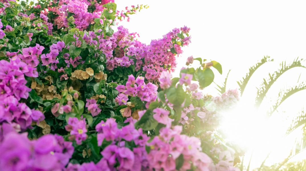 Εορτολόγιο: Σήμερα 17 Ioυλίου 2025 γιορτάζει…