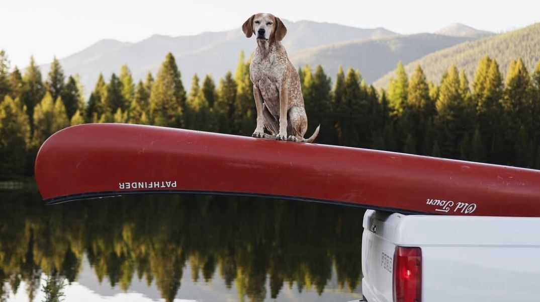 Η Μάντι, σκυλί με 1 εκατ. ακόλουθους στο Instagram, πέθανε στα 14 της - Έζησε μοναδική ζωή και έγινε σύμβολο για χιλιάδες ανθρώπους.