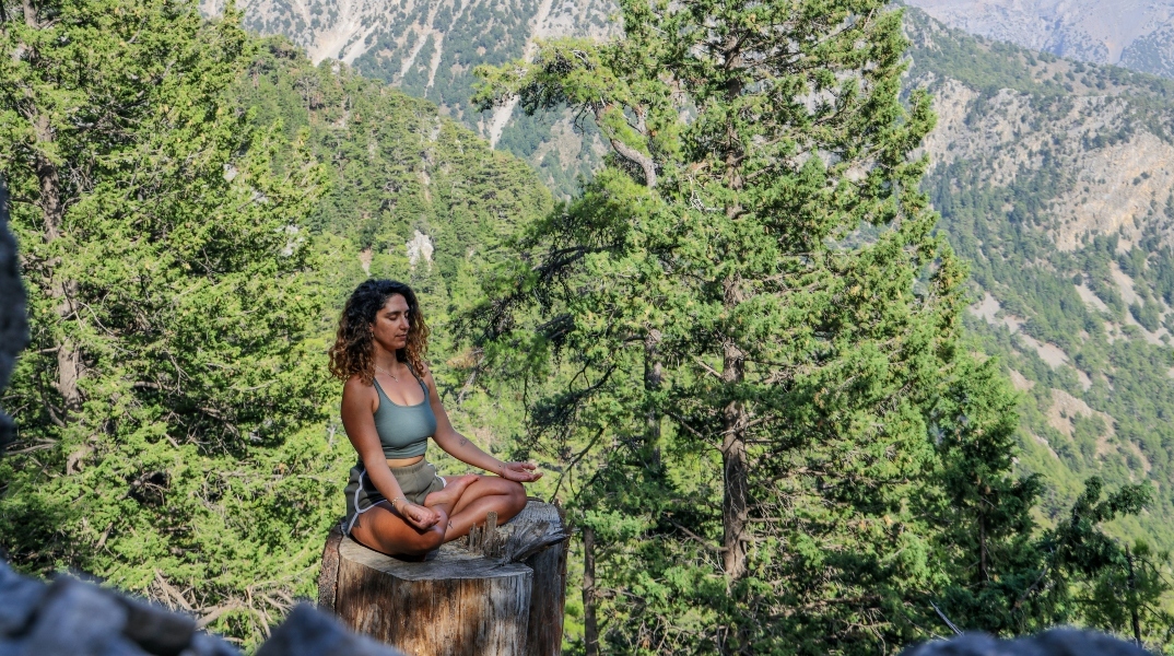 Διαλογισμός