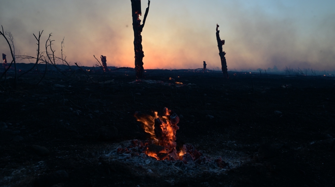  Χωρίς ενεργό μέτωπο η φωτιά στη Δροσοπηγή Αττικής 