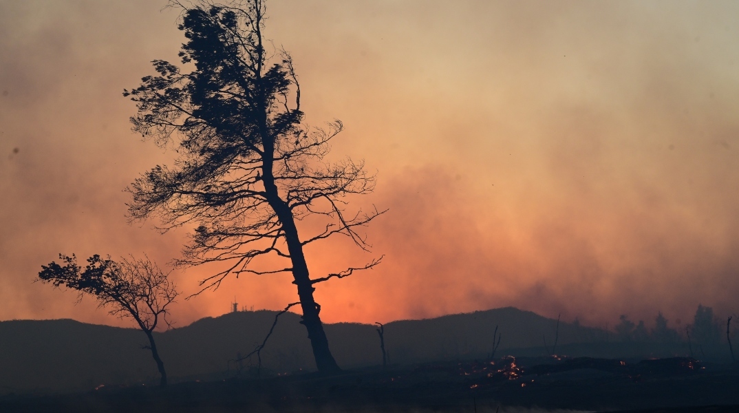 Πολύ υψηλός κίνδυνος πυρκαγιάς την Κυριακή σε Αττική και άλλες 10 Περιφέρειες της χώρας