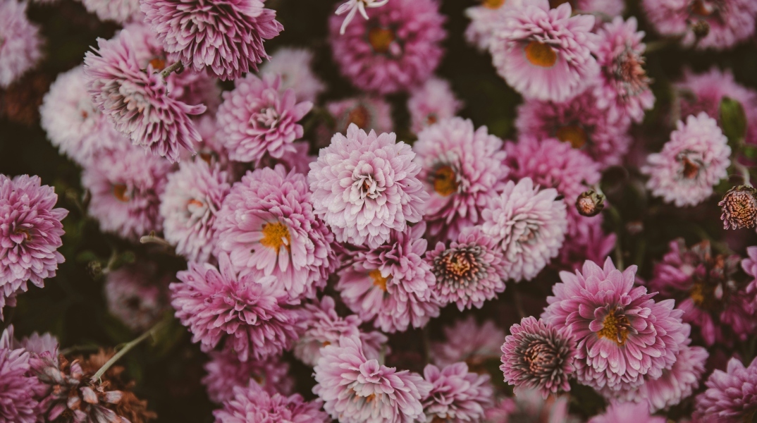 Εορτολόγιο: Σήμερα 27 Ιουλίου 2025 γιορτάζει…