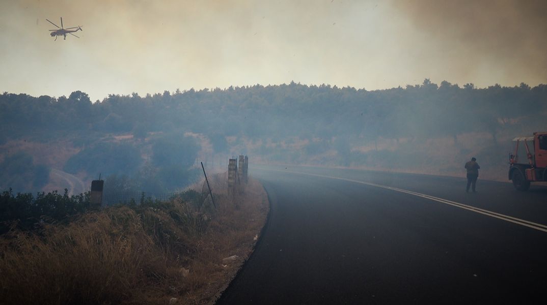 Εύβοια: Κάηκαν χιλιάδες ζώα - Ολοκληρωτική καταστροφή σε κτηνοτροφικές μονάδες και στάβλους