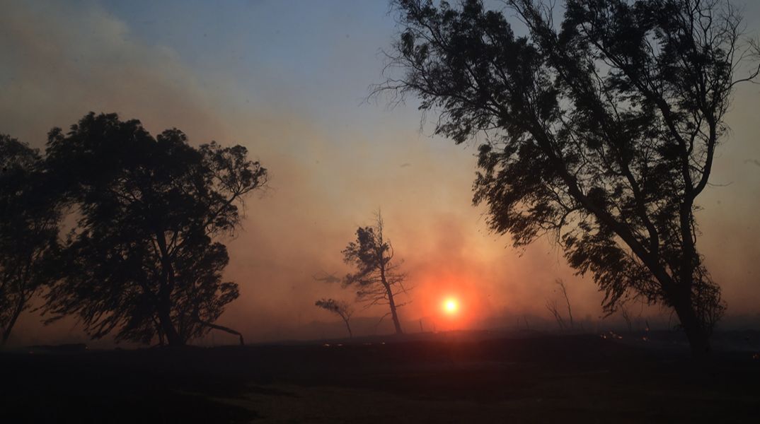 Σε εξέλιξη οι φωτιές σε Εύβοια, Μεσσηνία, Κύθηρα, Κρήτη - Μικρές διάσπαρτες εστίες στο Κρυονέρι