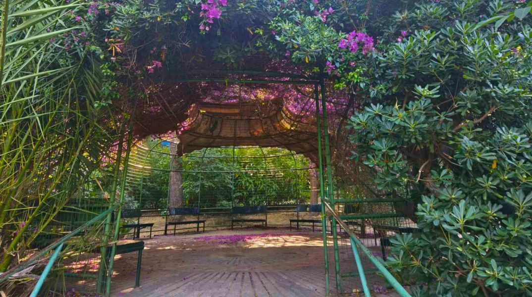 Βόλτα στο Άλσος Παγκρατίου: Μια ανάσα πρασίνου στο κέντρο της πόλης