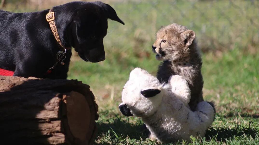 athensvoice_-_2025-07-31t170135_079