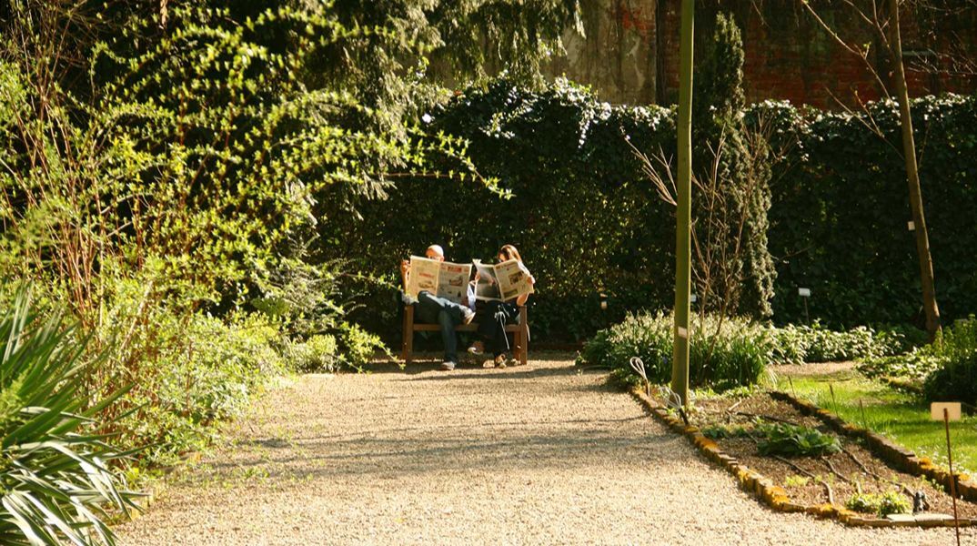 Guardian: Αυτοί είναι οι πιο ήσυχοι και άγνωστοι κήποι της Ευρώπης - Στη λίστα και ένας αθηναϊκός