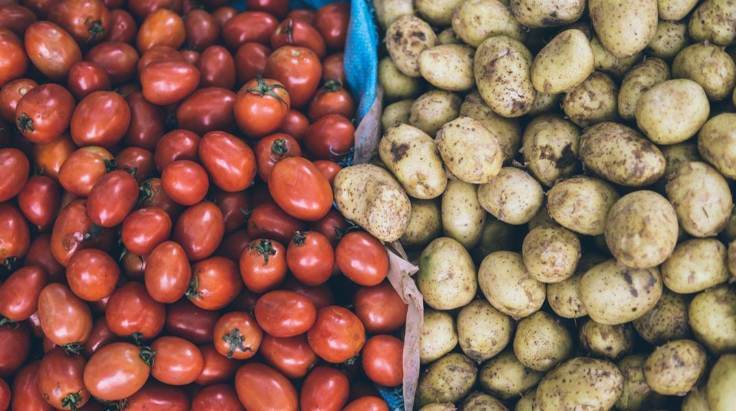 Πώς οι ντομάτες έφεραν στον κόσμο τις πατάτες - Νέα αποκάλυψη φέρνει διεθνής μελέτη