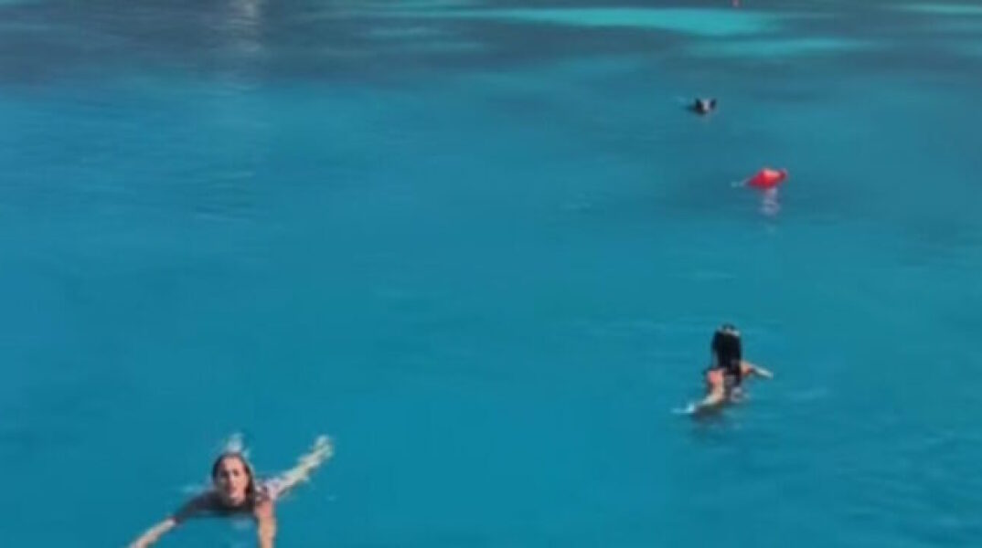 Αγριογούρουνο στην Ιθάκη κυνήγησε τουρίστριες μέσα στη θάλασσα - Δείτε το βίντεο που έγινε viral