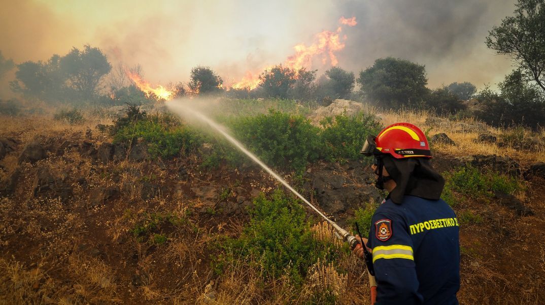 Εύβοια: Προσαγωγή οκτώ παιδιών, ηλικίας 13 και 14 ετών, μαζί με τους γονείς τους, μετά από έρευνα της Πυροσβεστικής για πυρκαγιές στην Αμάρυνθο.