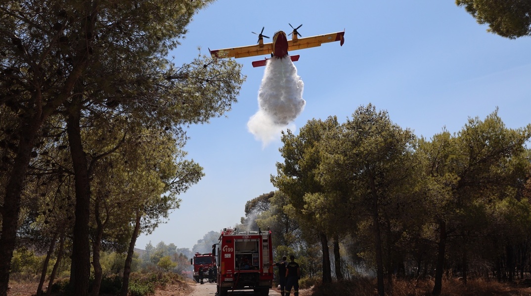 Πυροσβεστικό όχημα και πυροσβεστικό αεροσκάφος στον Κουβαρά Αττικής