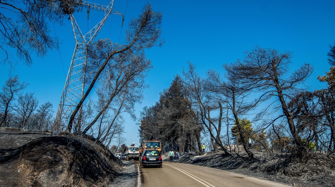 Φωτιά στην Ηλεία: Κάηκαν 7.950 στρέμματα - Δείτε τη δορυφορική εικόνα 