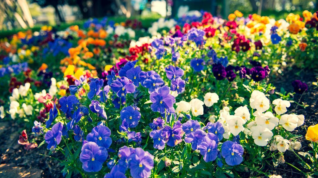 Εορτολόγιο: Σήμερα 12 Αυγούστου 2025 γιορτάζει…