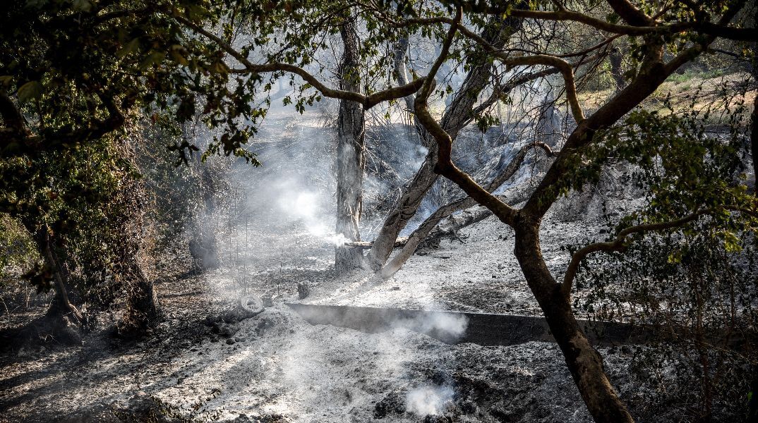 ΔΕΔΔΗΕ: Ποιες περιοχές παραμένουν χωρίς ρεύμα - Πού έχει αποκατασταθεί η ηλεκτροδότηση 