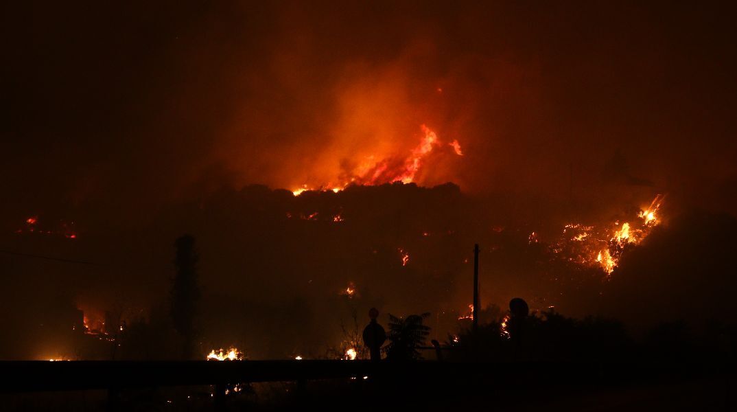 Φωτιές: Δραματική έκκληση για να μη μένουν τα ζώα πίσω - «Λύστε τα, πάρτε τα μαζί»