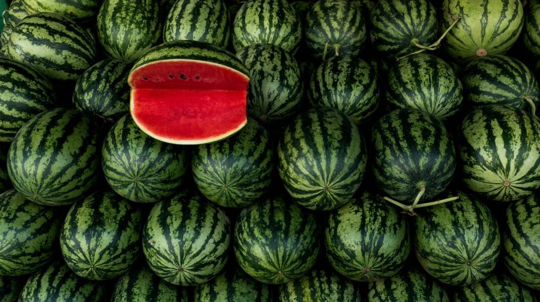 Καρπούζι