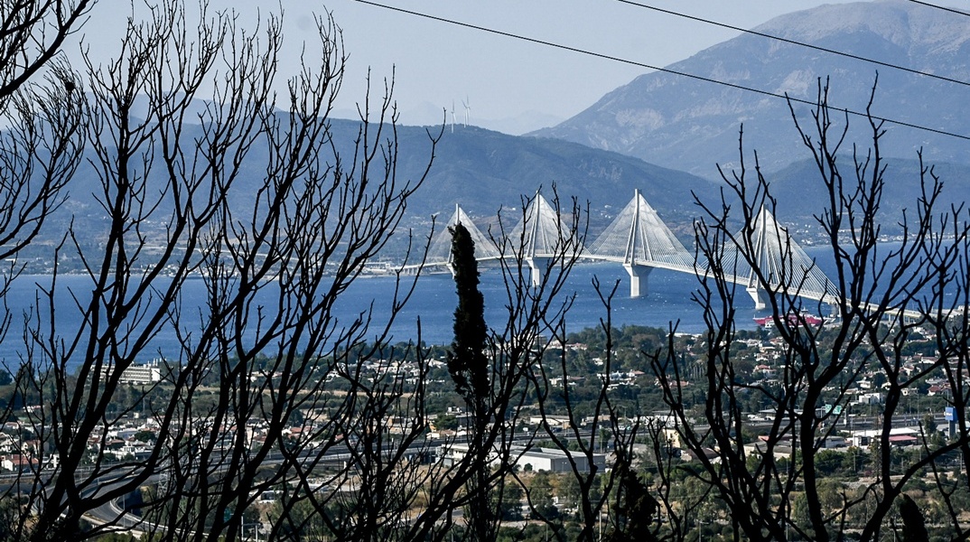 Καμένες εκτάσεις στην Αχαΐα