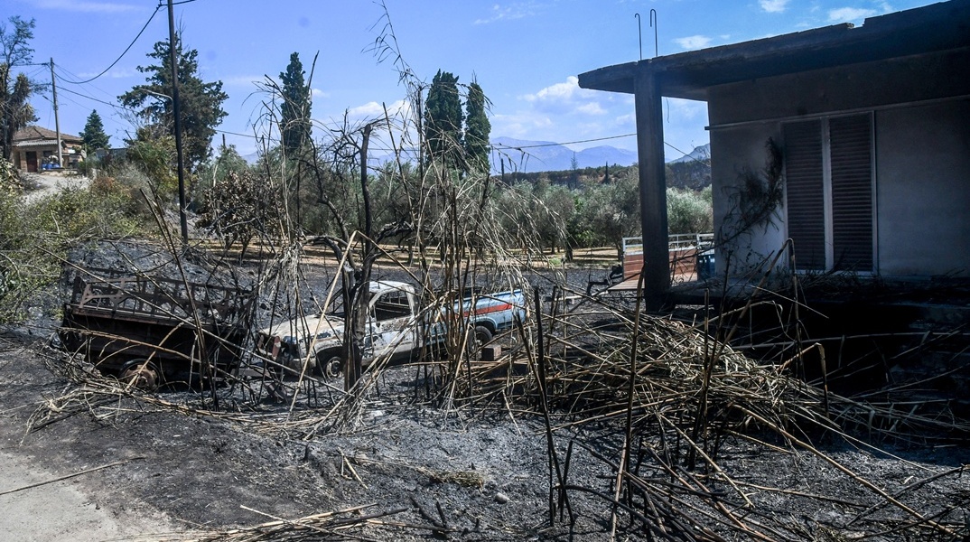 Καμένες εκτάσεις στην Πάτρα