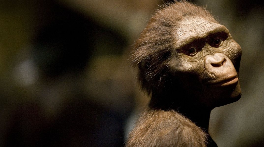 Η Λούσι, ο πλέον γνωστός αυστραλοπίθηκος 