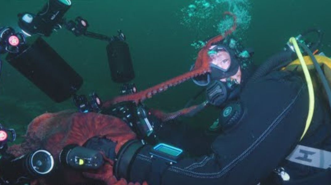 Γιγάντιο χταπόδι στον Καναδά άρπαξε κάμερα από δύτες και κατέγραψε εντυπωσιακά πλάνα, πριν επιστρέψει «χαμογελαστό» το θήραμά του