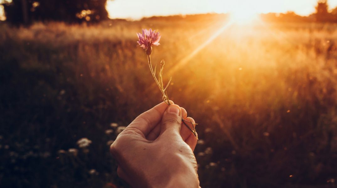 Ποιοι γιορτάζουν σήμερα 25 Αυγούστου 2025; Το εορτολόγιο της Athens Voice σου τους θυμίζει. Μην ξεχάσεις να τους δώσεις τις καλύτερες ευχές σου!