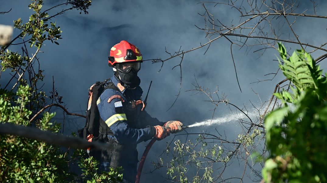 Φωτιά στον Χορτιάτη Θεσσαλονίκης: Οριοθετήθηκε έγκαιρα - Η πυρκαγιά ξεκίνησε από μελίσσια σε δασική έκταση - Δεν κινδύνευσαν κατοικημένες περιοχές