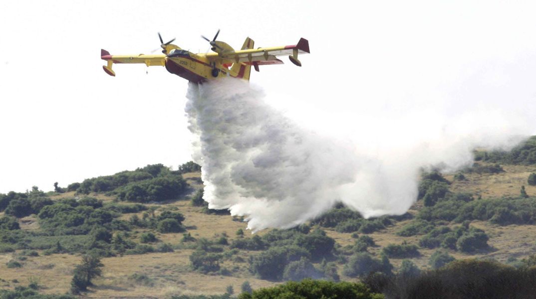 Συναγερμός στην Πυροσβεστική, καθώς φωτιά ξέσπασε το μεσημέρι του Σαββάτου στον Χορτιάτη Θεσσαλονίκης, στη θέση Αέλιος Πέτρα, καίγοντας δασική έκταση. 