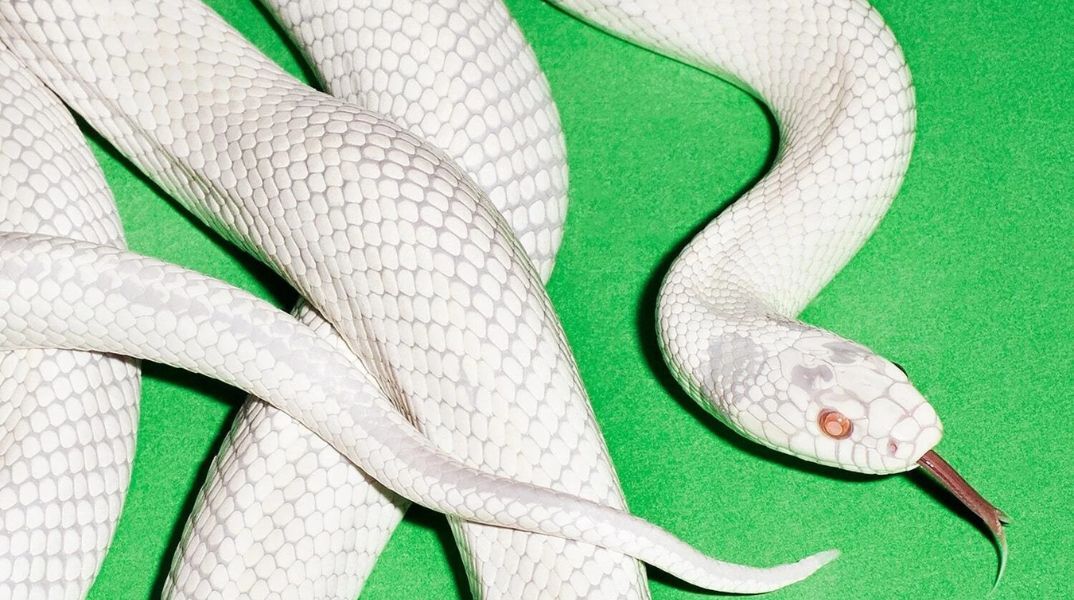 My Own Summer: Βάλτο εκεί που ξέρεις