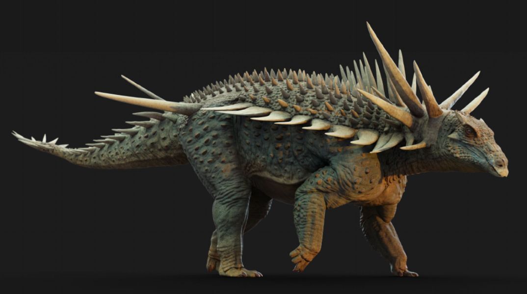 «Πανκ ροκ» δεινόσαυρος με αγκάθια ενός μέτρου ανακαλύφθηκε στο Μαρόκο