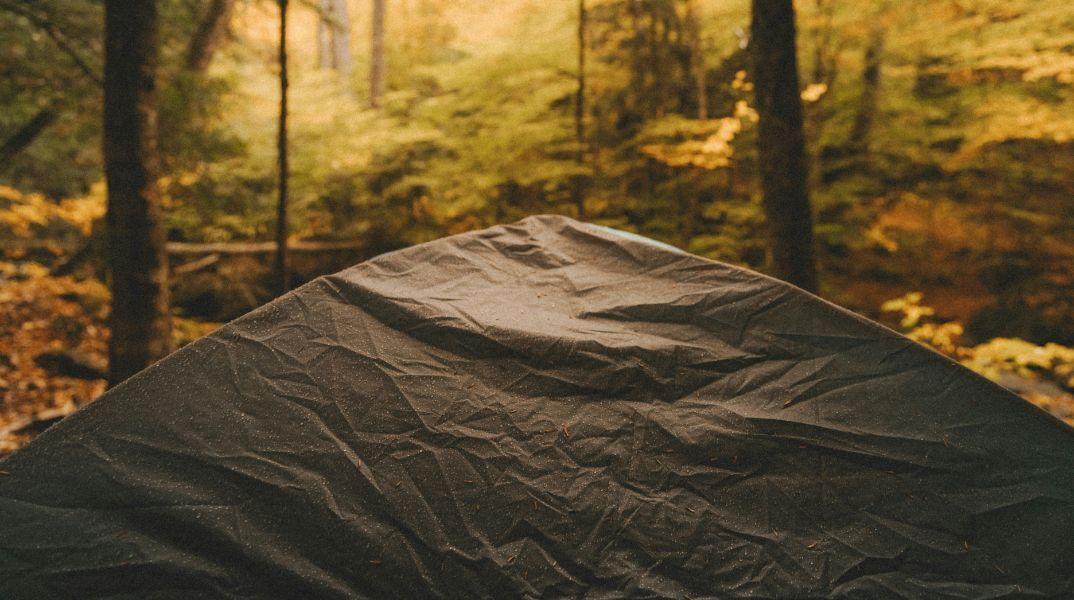 Δύο αλλοδαποί συνελήφθησαν στην Ασπροβάλτα Θεσσαλονίκης για ναρκωτικά, μεταξύ των οποίων κάνναβη και ψυχοδραστικά μανιτάρια - Τα έκρυβαν σε σκηνή κάμπινγκ 