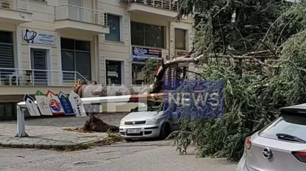 Κακοκαιρία στην Καστοριά: Ζημιές σε καλλιέργειες και αυτοκίνητα - Έπεσαν δέντρα 