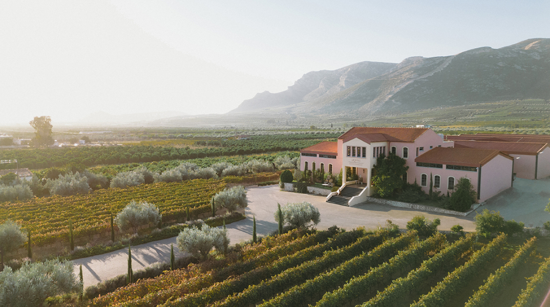 domaine_skouras_-_winery_greece-low