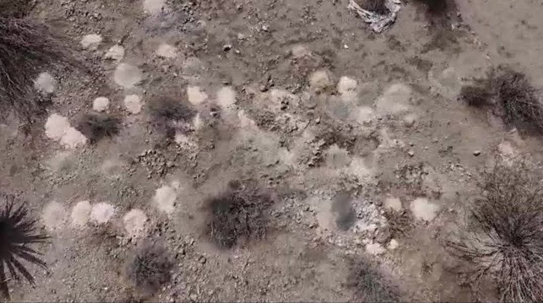 Πάνω από 100 στοίβες αποτεφρωμένων υπολειμμάτων εντοπίστηκαν στην έρημο της Νεβάδα, οδηγώντας σε ομοσπονδιακή έρευνα.