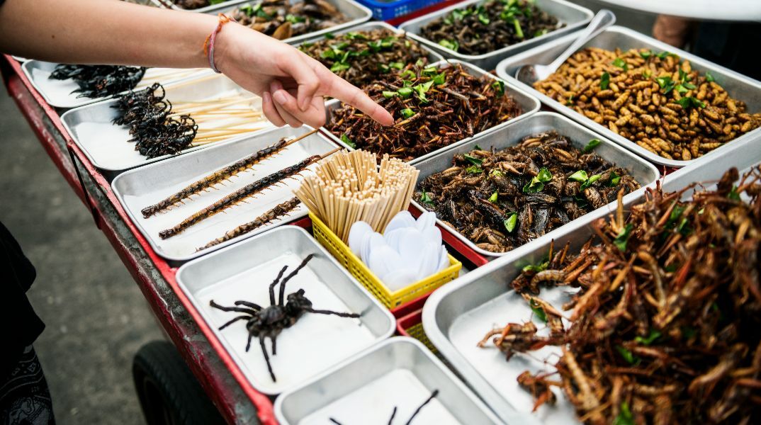 Αυξάνονται οι θεωρίες συνωμοσίας για «παγκόσμιες ελίτ που θα αναγκάσουν τις μάζες να τρώνε έντομα»