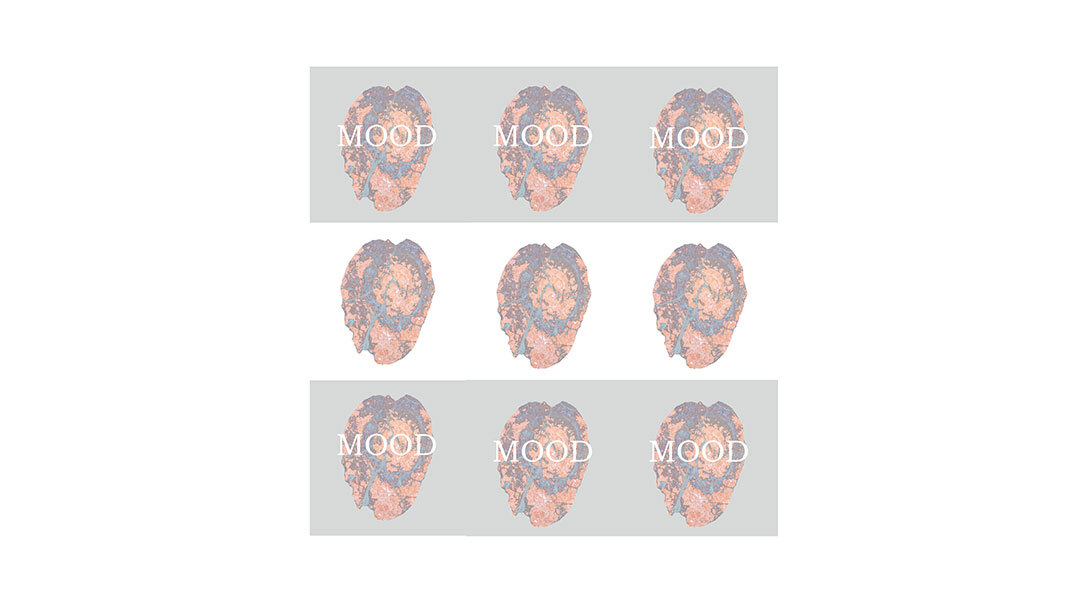 Υπατία Κορνάρου: Παρουσίαση φωτογραφικού βιβλίου «Mood»