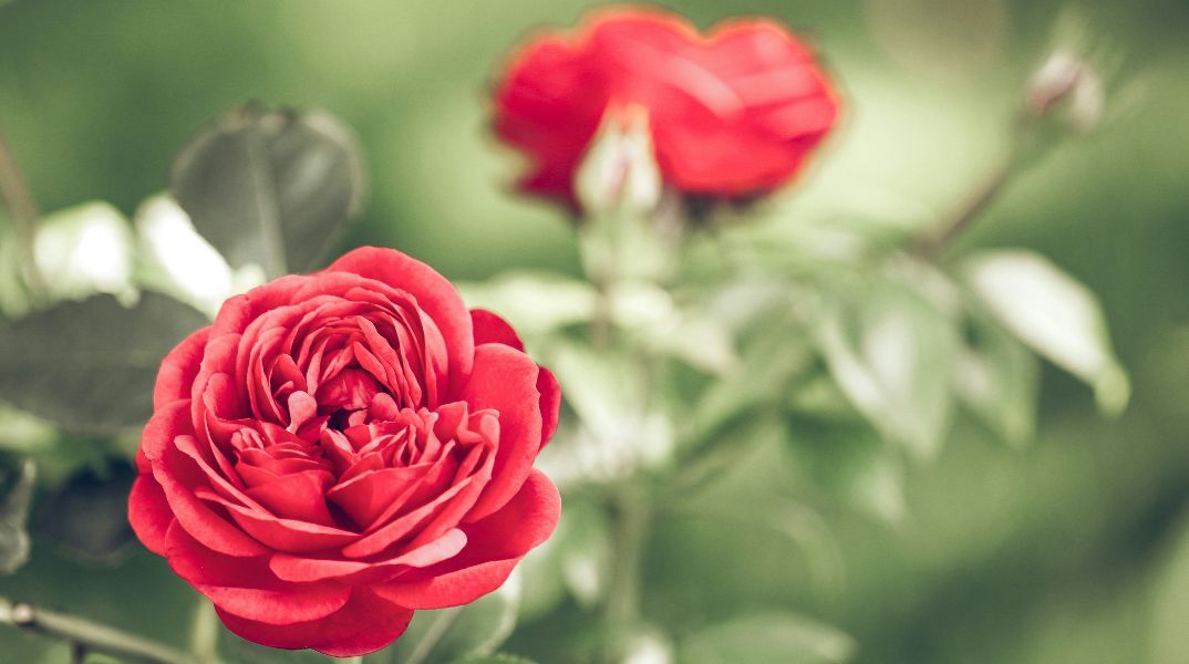 Εορτολόγιο: Σήμερα 18 Σεπτεμβρίου 2025 γιορτάζει…