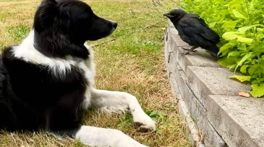 7539ad76059251ac77450eea6cbf6d7de13757d0