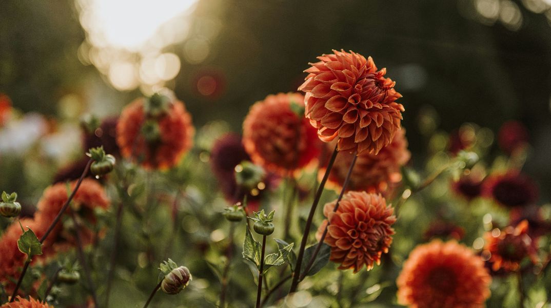 Εορτολόγιο: Σήμερα, 19 Σεπτεμβρίου 2025, γιορτάζει…