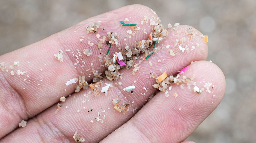 Έρευνα αποκάλυψε ότι χιλιάδες μικροσκοπικά σωματίδια πλαστικού μπορούν να εισέλθουν στις ρίζες των λαχανικών και να φτάσουν στα βρώσιμα μέρη τους.